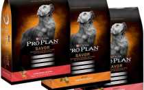 Обзор корма для собак Pro Plan с отзывами ветеринаров