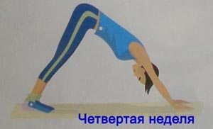 Четвертая неделя йоги Йога для ленивых