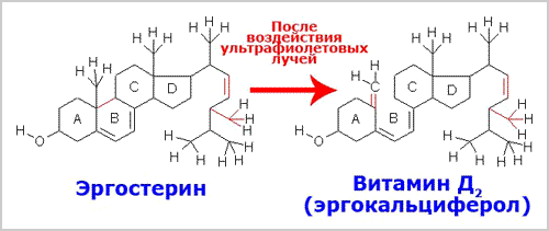 Эргостерин Хим формыла