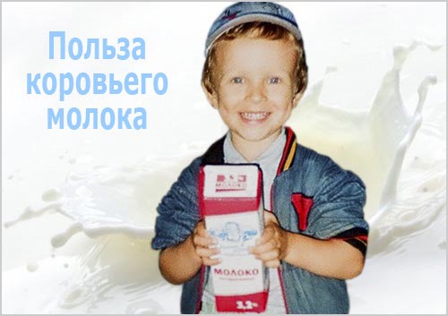 Молоко, не реклама О пользе и вреде молока