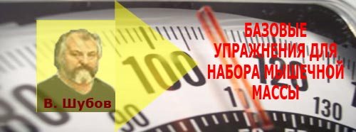 Набор мышечной массы Упражнения от авторитетного тренера