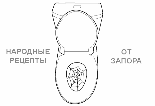 Народные рецепты от запора Унитаз и паутина