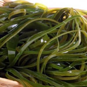 Ламинария сахаристая лечение