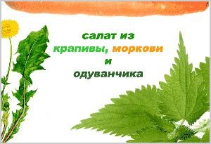 Салат Салаты из крапивы