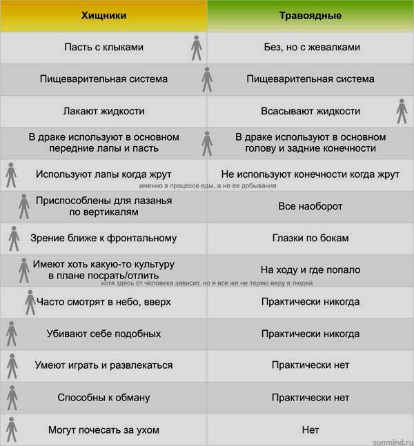 человек - это хищник или травоядное Хищник или травоядное