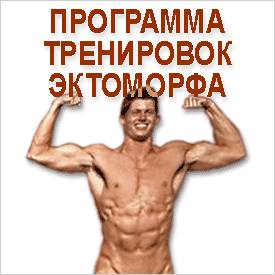 Эктоморф Упражнения для эктоморфного типа телослжения
