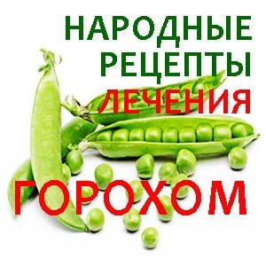 Горох