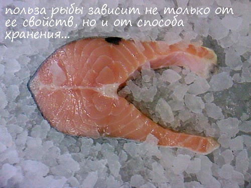 Хранение рыбы