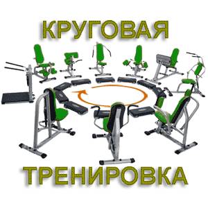 Круговая тренировка круговая тренировка