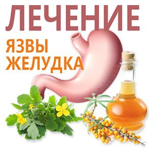Лечить желудок Желудок и травы