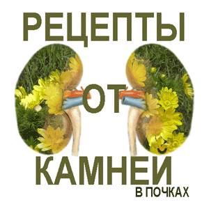 Как лечить почки Как лечить почки