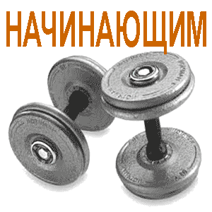 Начинающим Начальный бодибилдинг