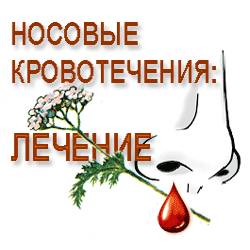 Носовые кровотечения Как лечить носовые кровотечения