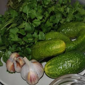Кинза огурцы