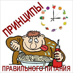 Принципы основные правила питания