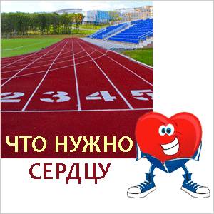Сердце сердце и сопрт