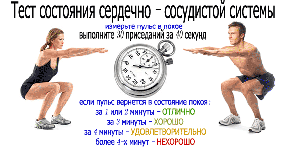 Тест 30 приседаний оценка сдвигов в сердечно - сосудистой системе