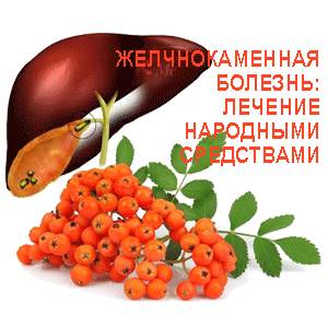 Красная рябина от желчнокаменной Лечение рябиной желчнокаменной болезни